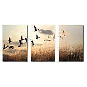 Reproduction transférée sur toile Art Paysage terres agricoles Lot de 3